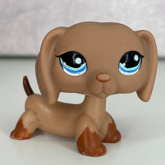 LPS Dachshund Dog Eye Variant