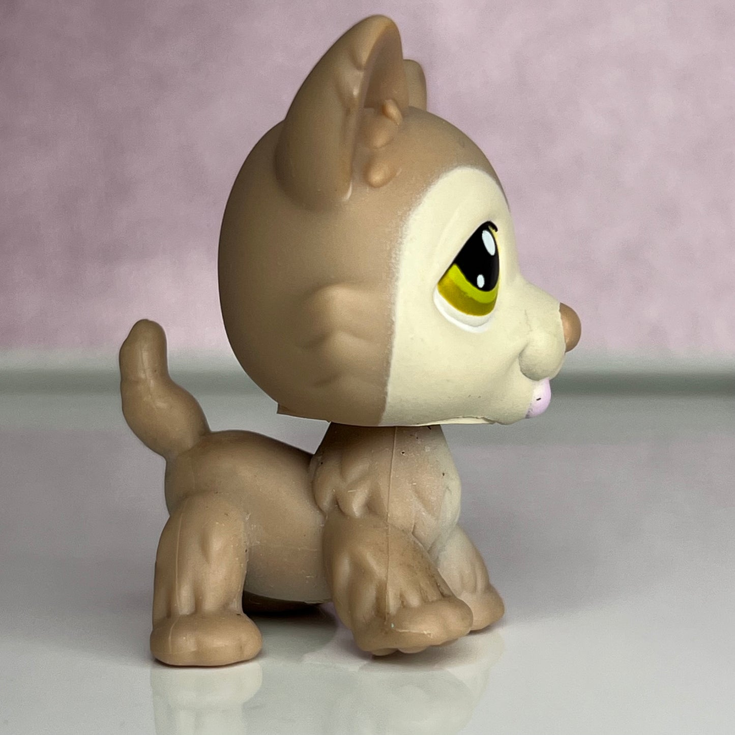 LPS Husky Dog #358