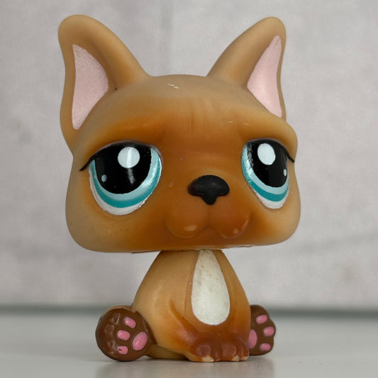 LPS French Bulldog #1847