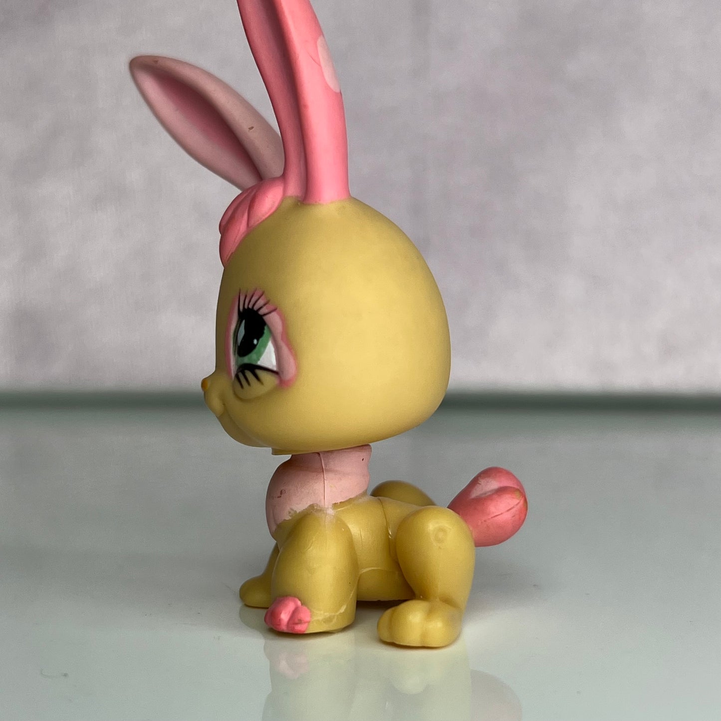 LPS Rabbit #506