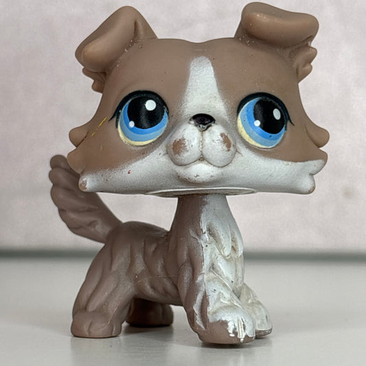 LPS Collie Dog #67