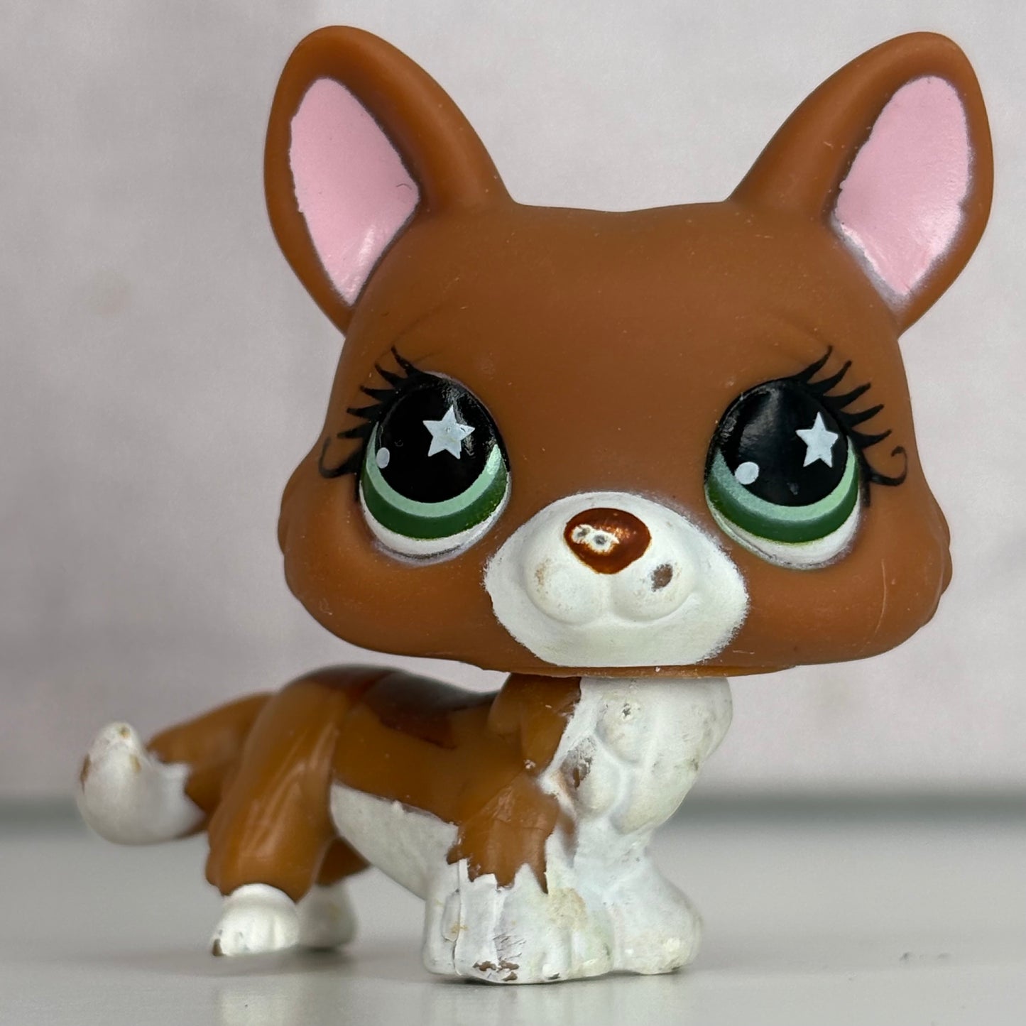 LPS Corgi Dog