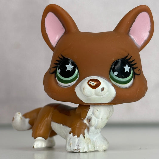 LPS Corgi Dog
