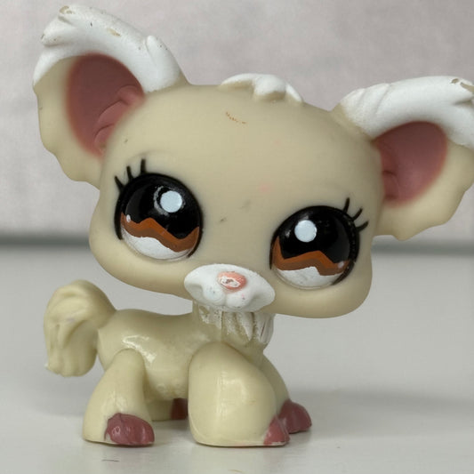 LPS Chihuahua Dog #1199