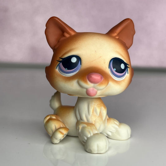 LPS Husky Dog #37