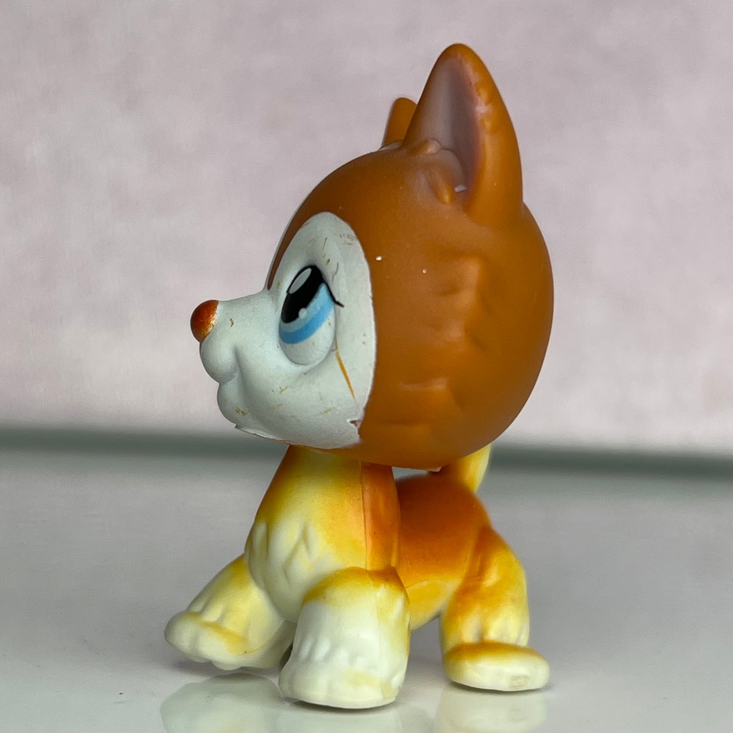 LPS Husky Dog #341