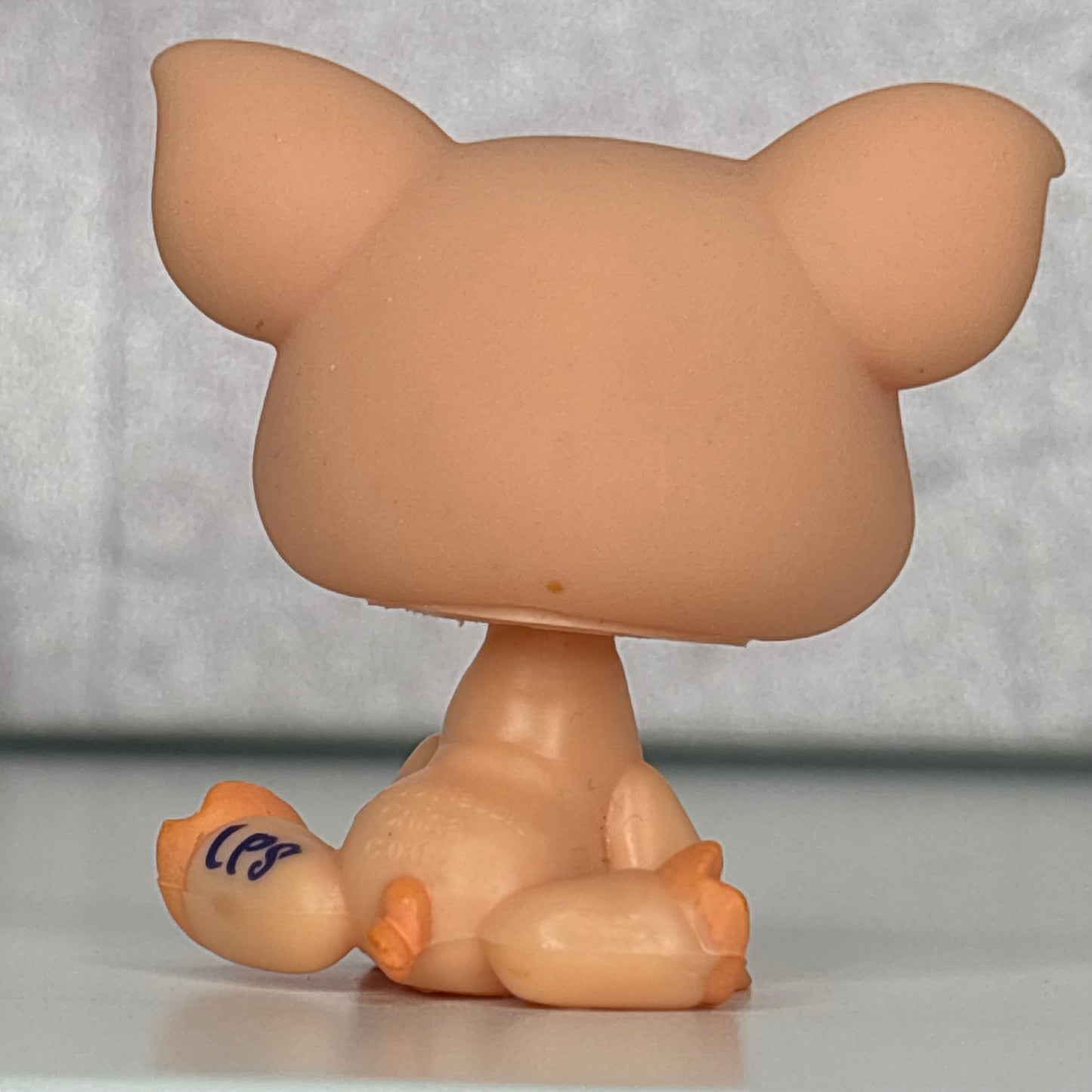 LPS Pig #998