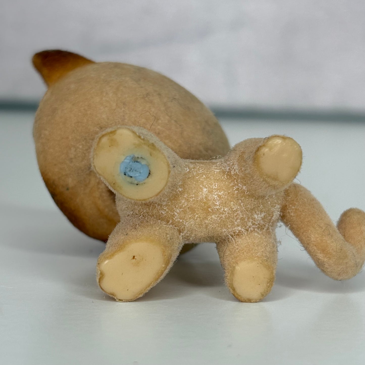 LPS Flocked Shorthair #338