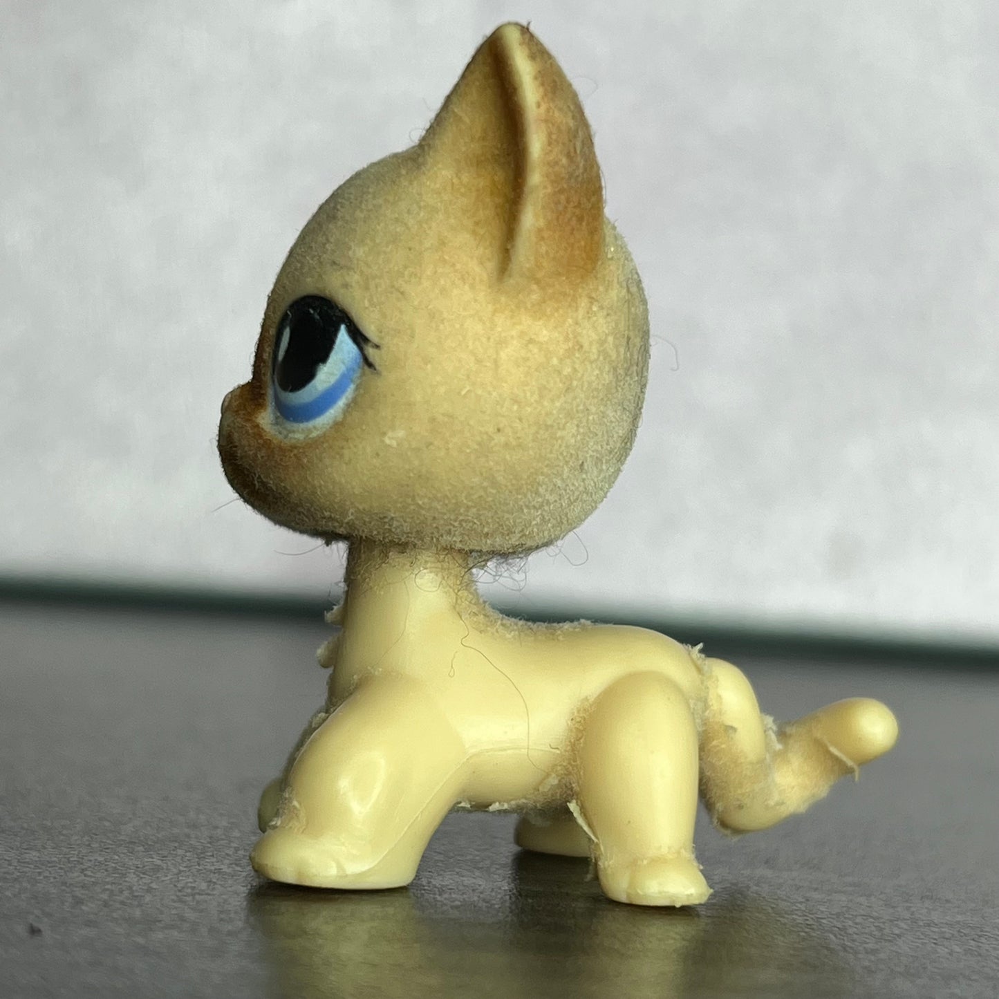 LPS Flocked Shorthair #338