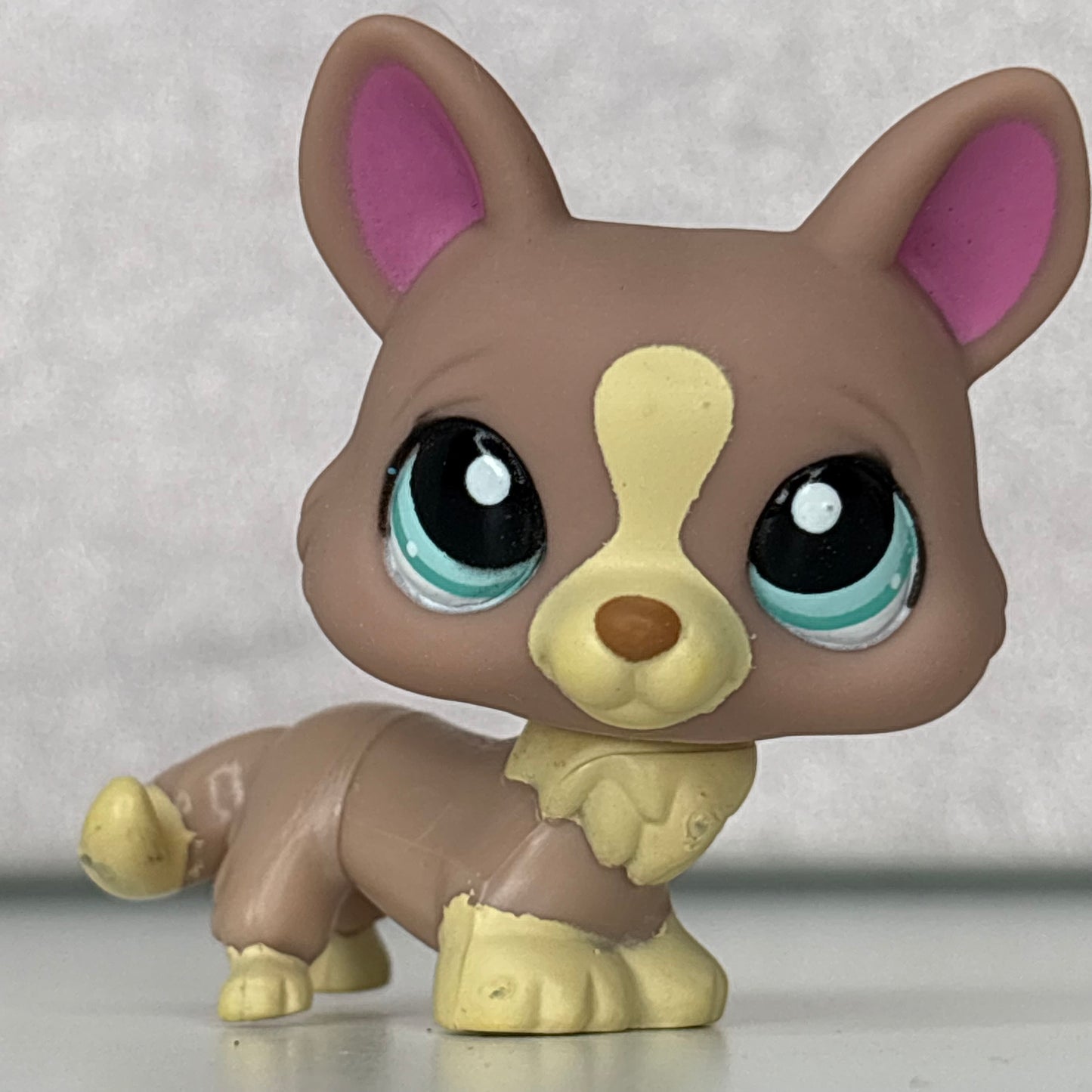 LPS Corgi Dog
