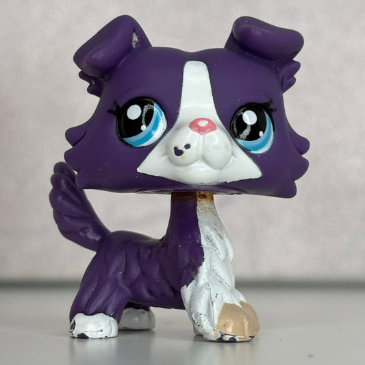 LPS Collie Dog