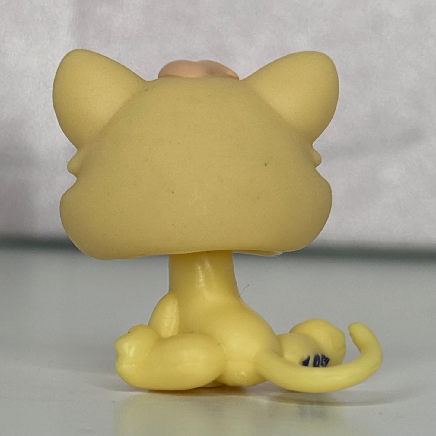 LPS Kitten #1779