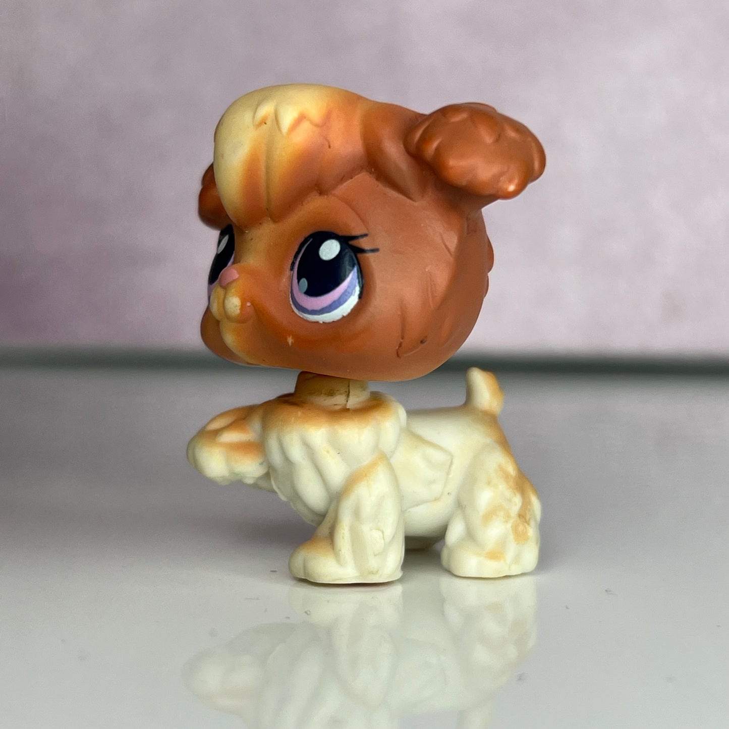 LPS Poodle Dog #591