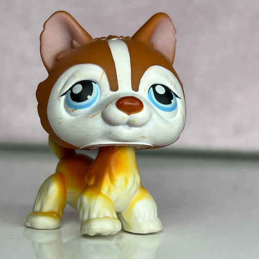 LPS Husky Dog #341