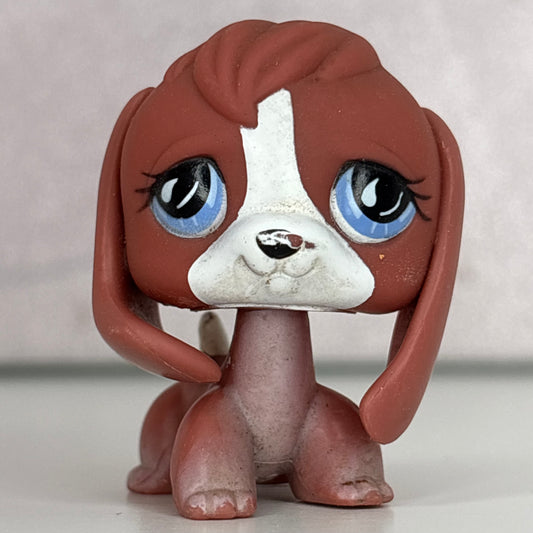 LPS Beagle Dog #567