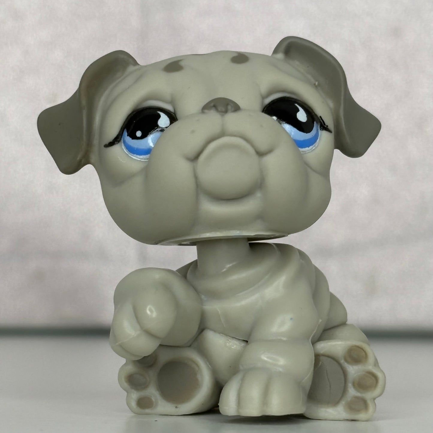 LPS Gray Bulldog #508
