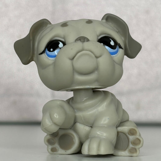 LPS Gray Bulldog #508