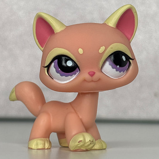 LPS Nintendo Exclusive Destiny Cat