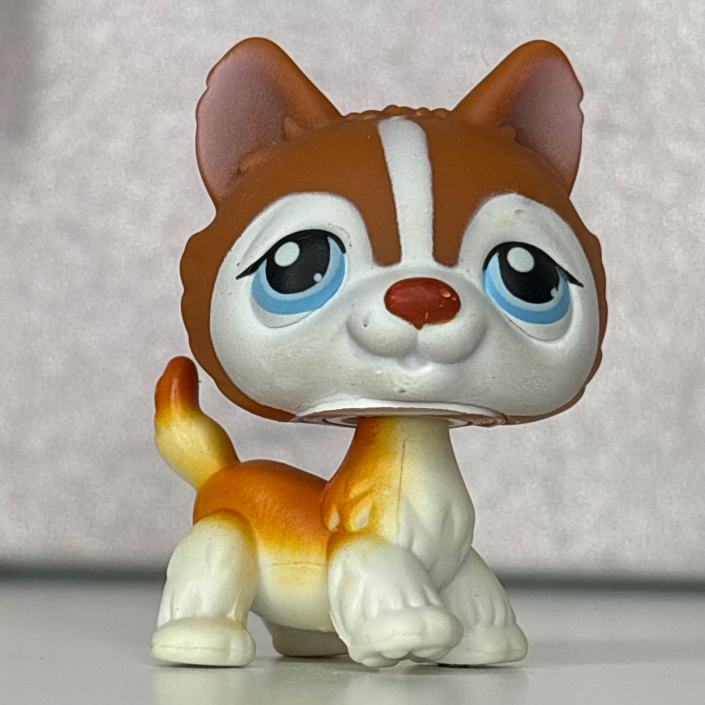 LPS Husky Dog #341