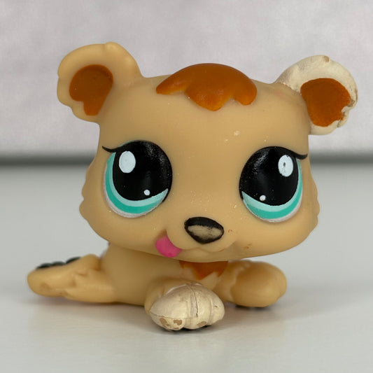 LPS Triplet Bear #1554