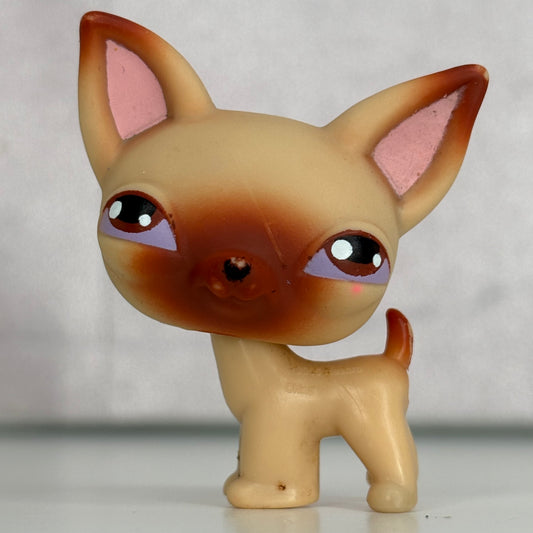 LPS Chihuahua Dog #1