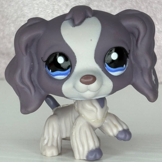 LPS Purple  Cocker Spaniel Dog Eye Variant #672