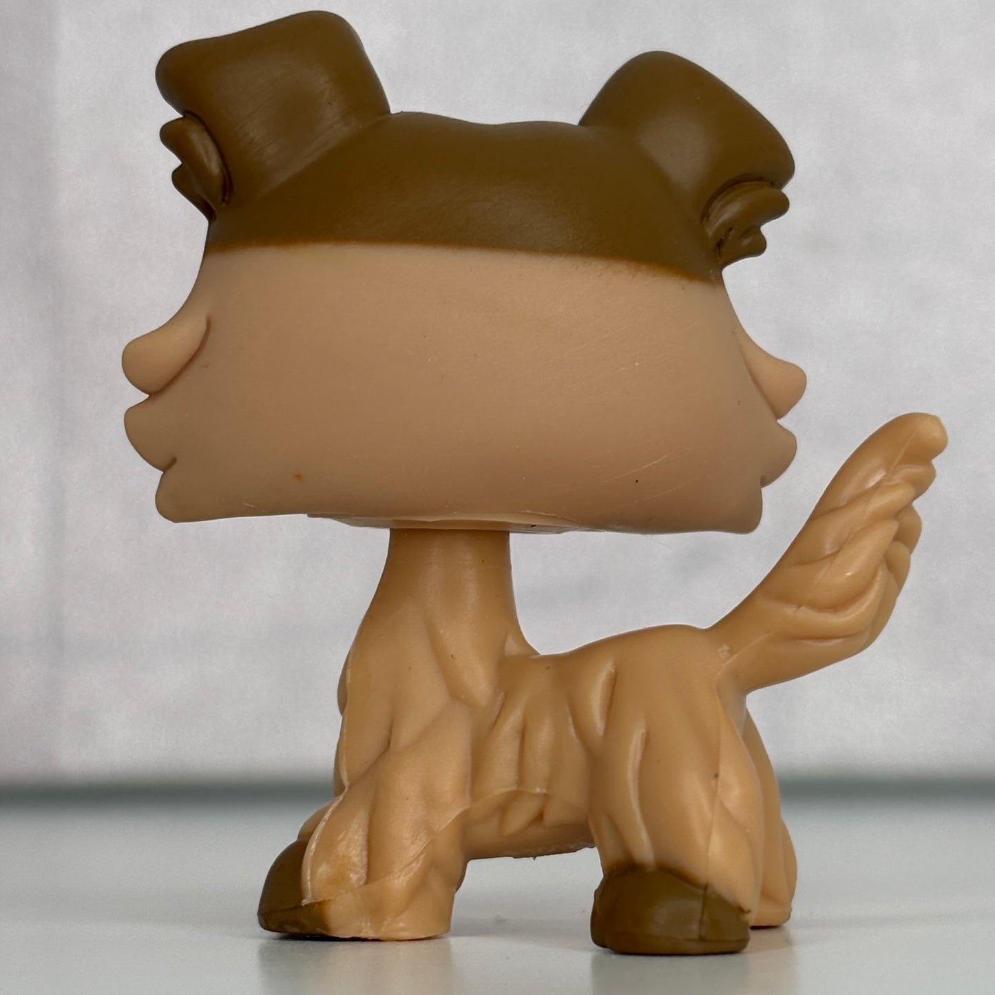 LPS Collie Dog
