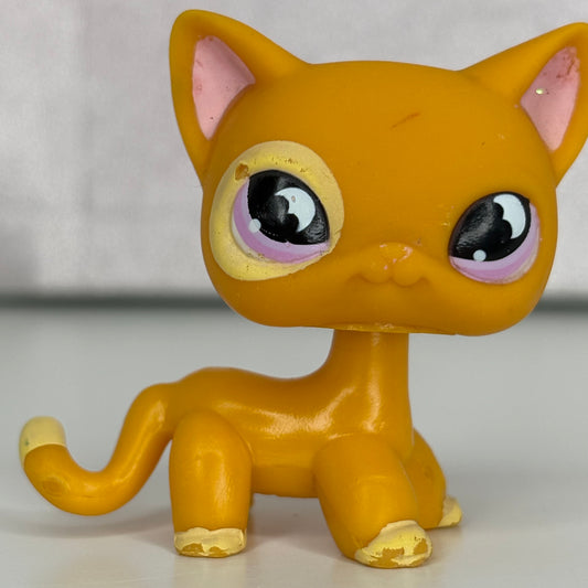 LPS Shorthair Cat #855