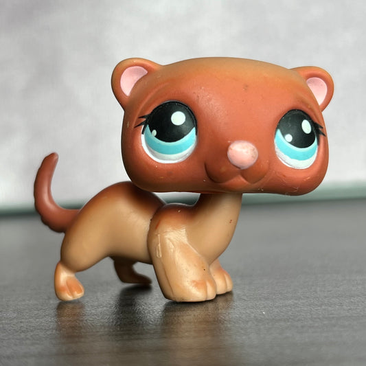 LPS Ferret #334