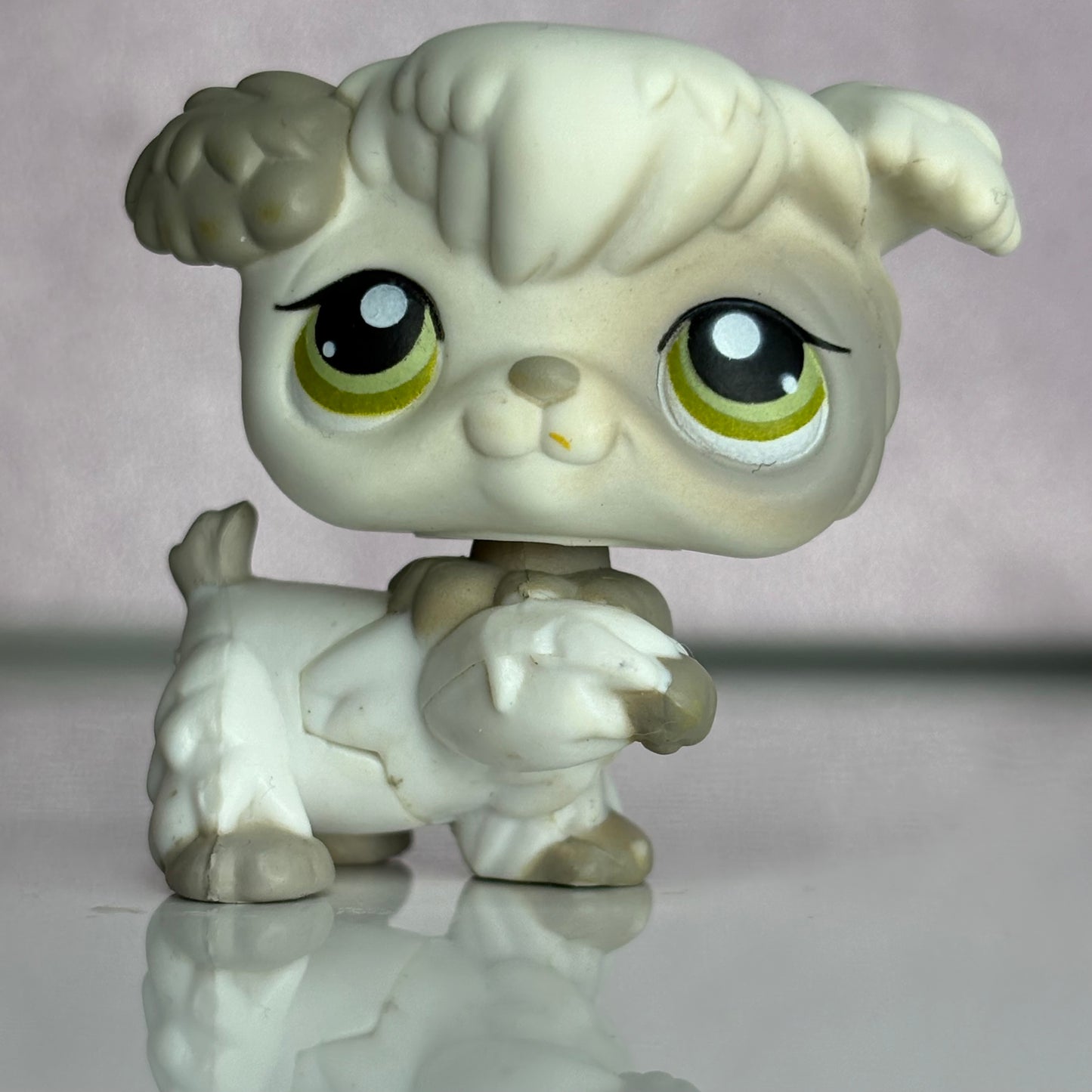 LPS Poodle Dog #203