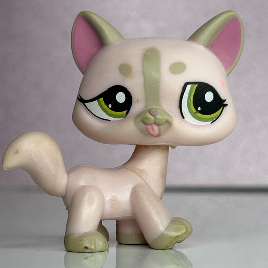 LPS Destiny Cat #1326