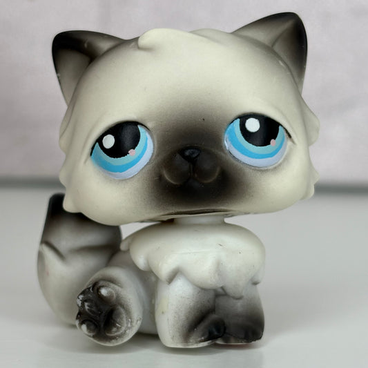 LPS Persian Cat #60*