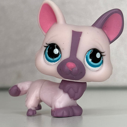 LPS Corgi Dog