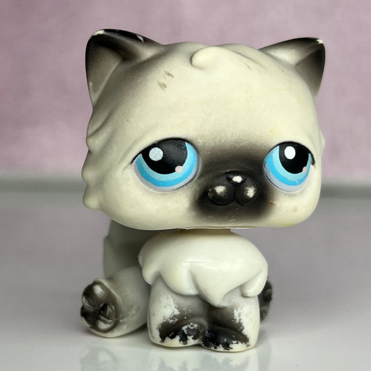 LPS Persian Cat #60