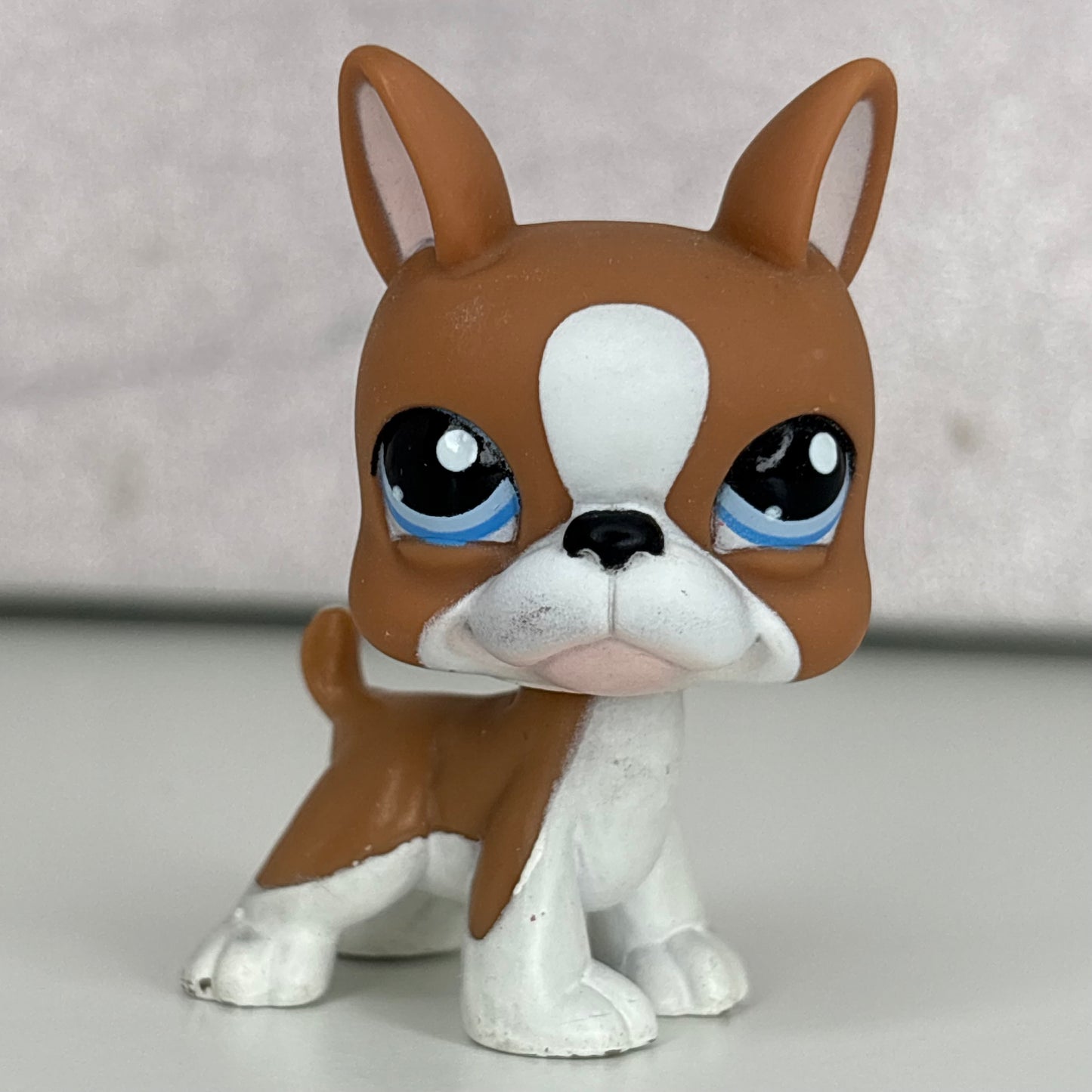LPS Boston Terrier #1079