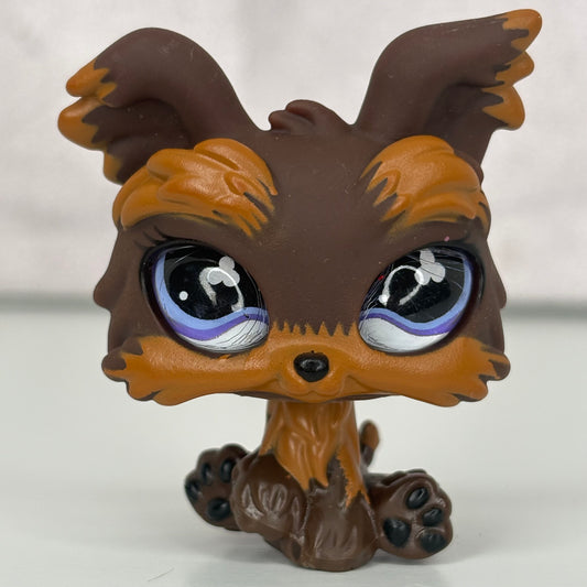 LPS Glass Eye Yorkie #509*