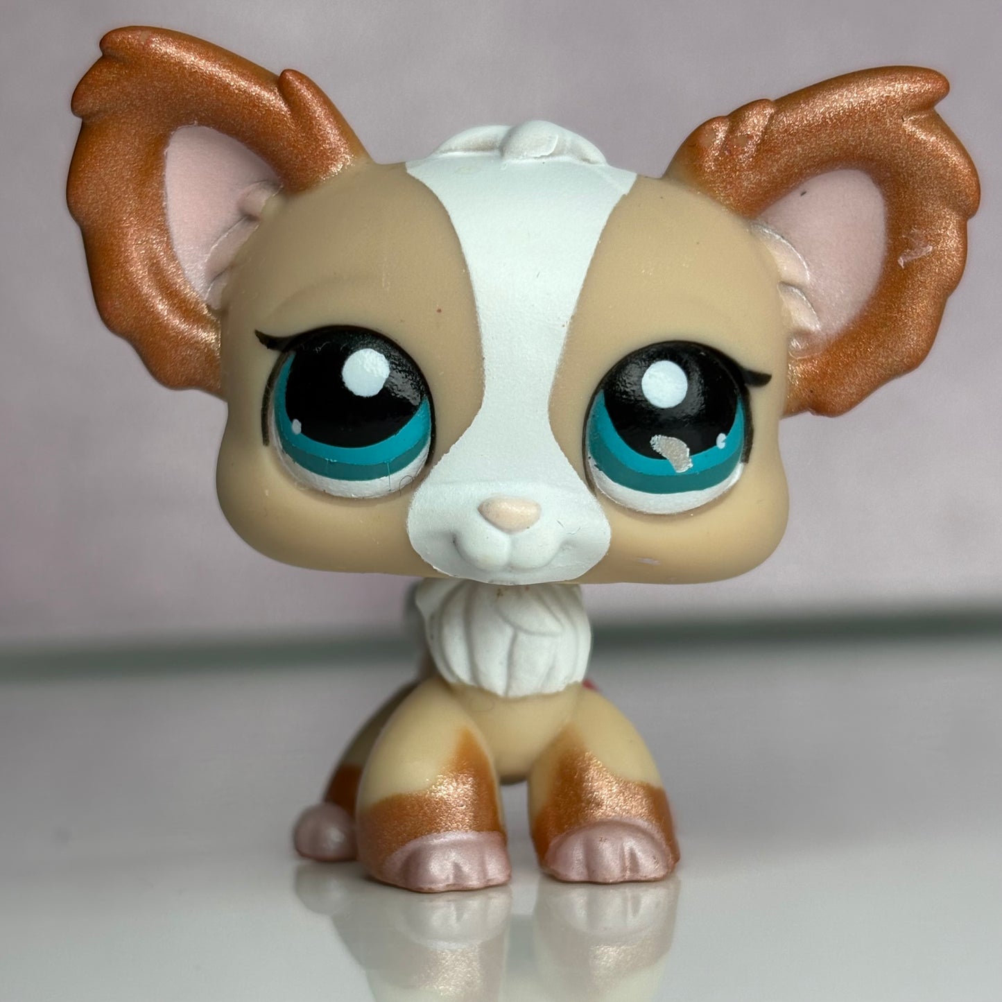 LPS Chihuahua Dog #1082