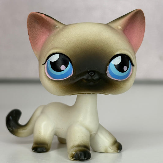 LPS Siamiese Shorthair Cat #5*