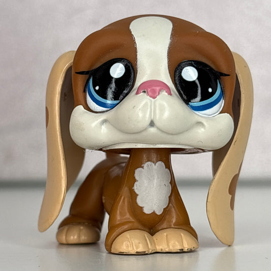 LPS Basset hound Dog #1655