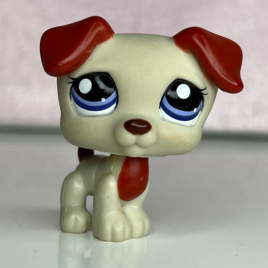 LPS Jack Russel Dog #1743