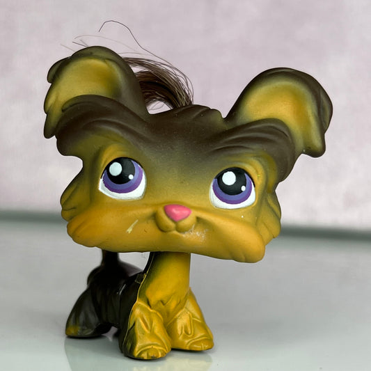 LPS Yorkie Terrier #398