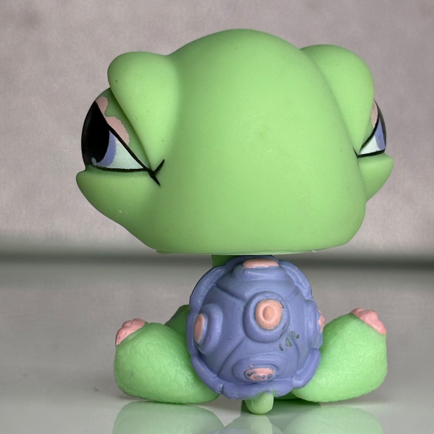 LPS Turtle #504