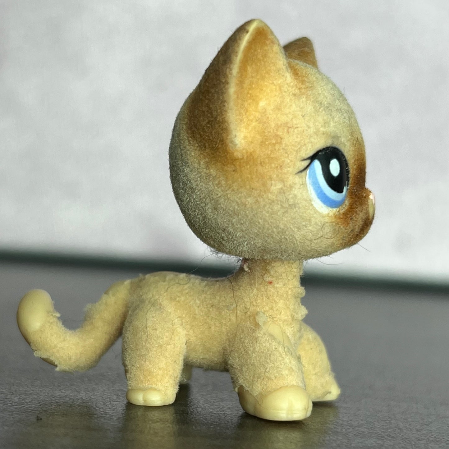 LPS Flocked Shorthair #338