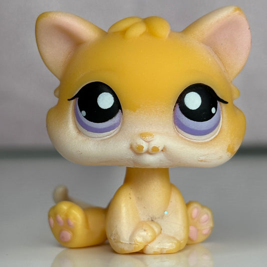 LPS Kitten Cat #114