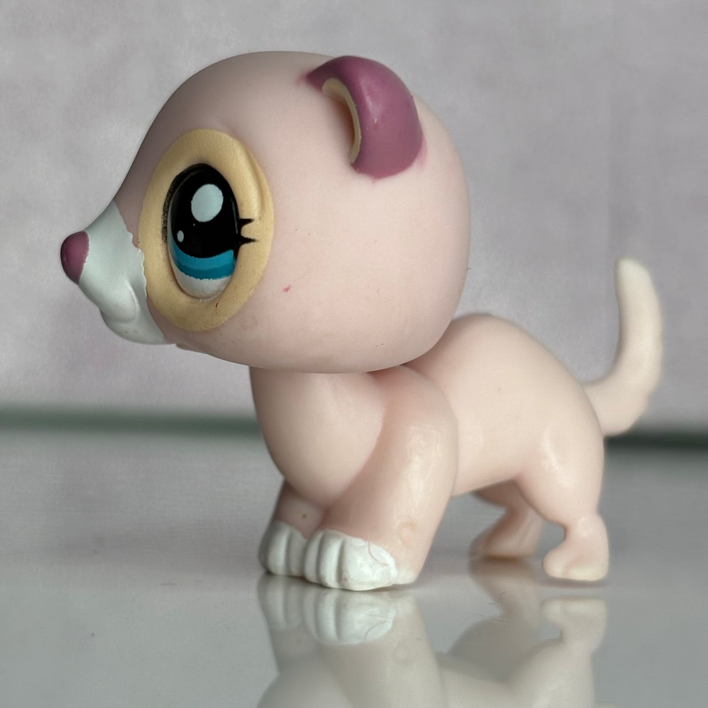 LPS Ferret #1624