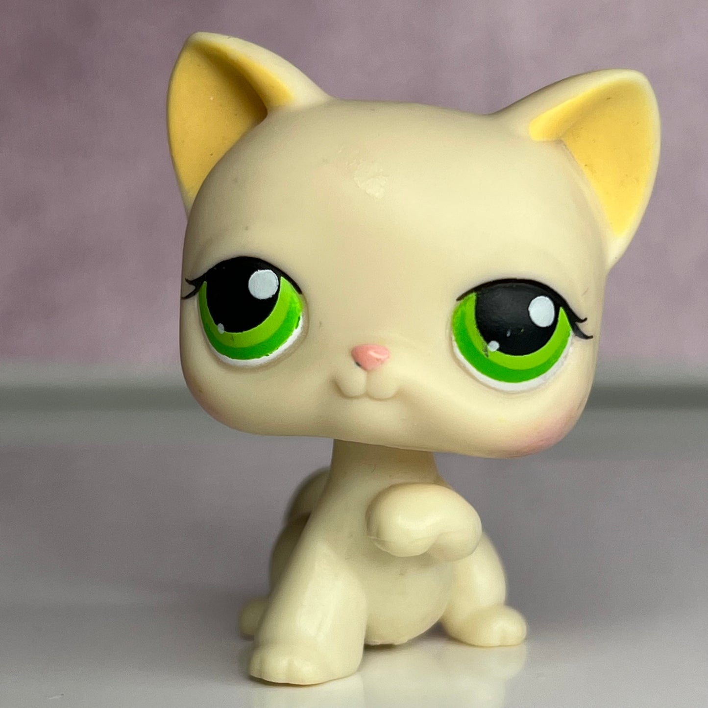 LPS Paw Up Shorthair Cat #98