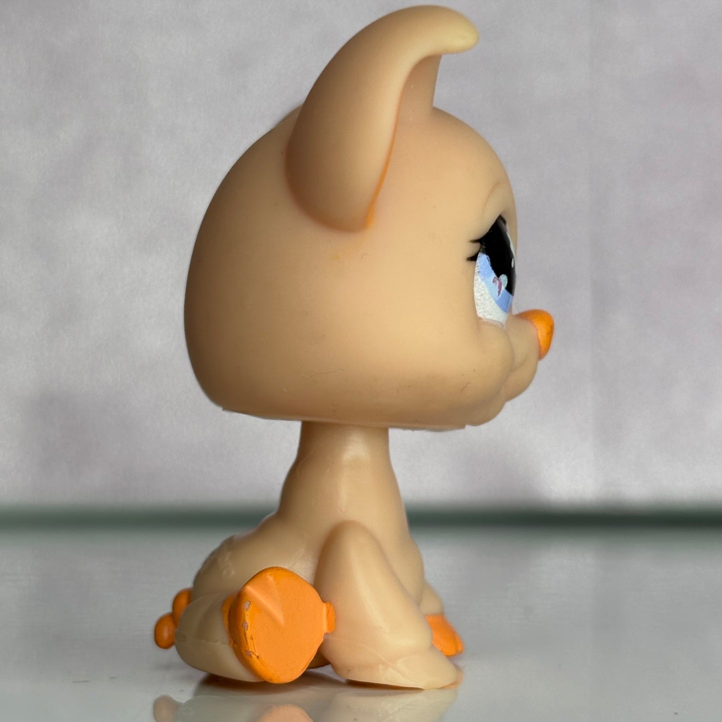 LPS Pig #885