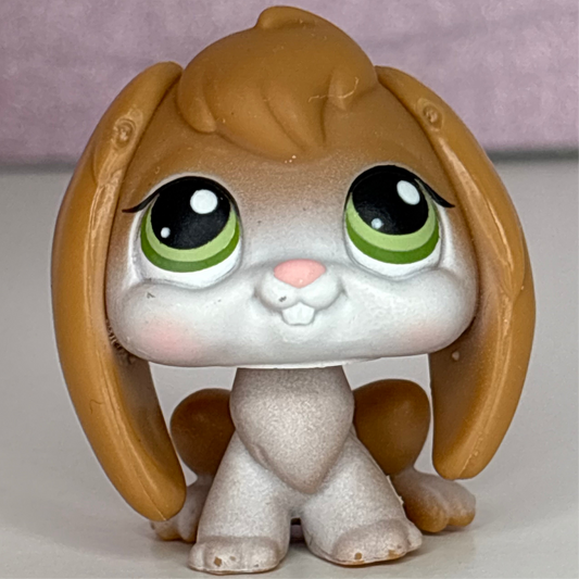 LPS Floppy Eared Bunny #185