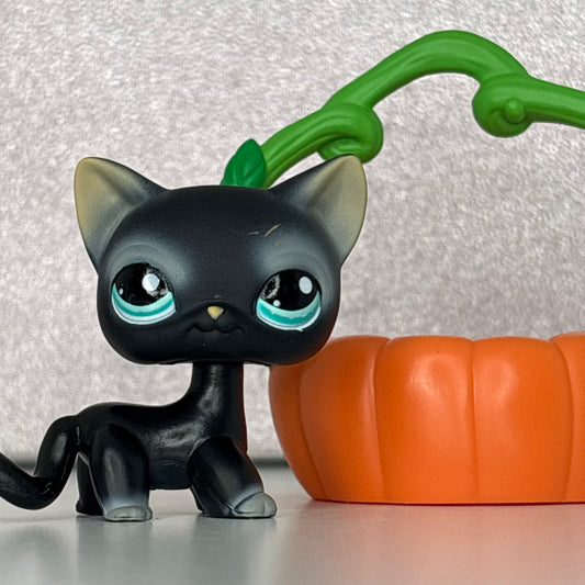 LPS Shorthair Cat W/ Original Accessory #994