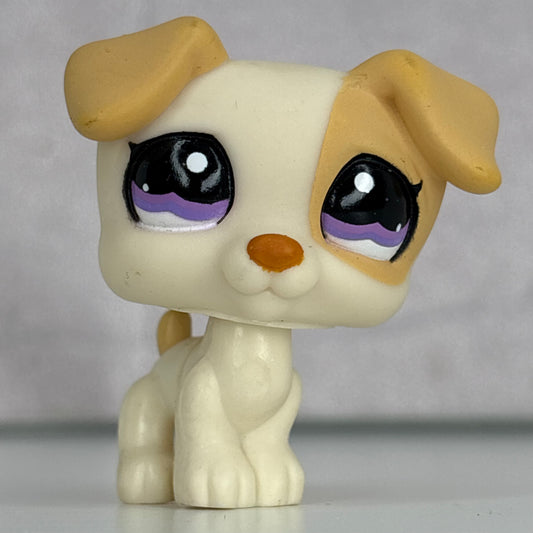 LPS Jack Russell Dog